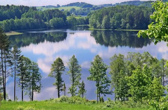 ลิทัวเนีย (ALL LOVE OF LITHUANIA) ภาพ 2