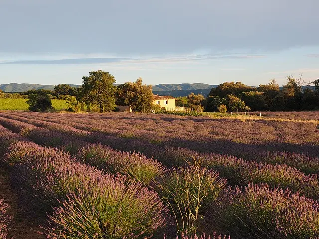 ฝรั่งเศสใต้ แคว้นโพรวองส์ (South France - Provence) ภาพ 1