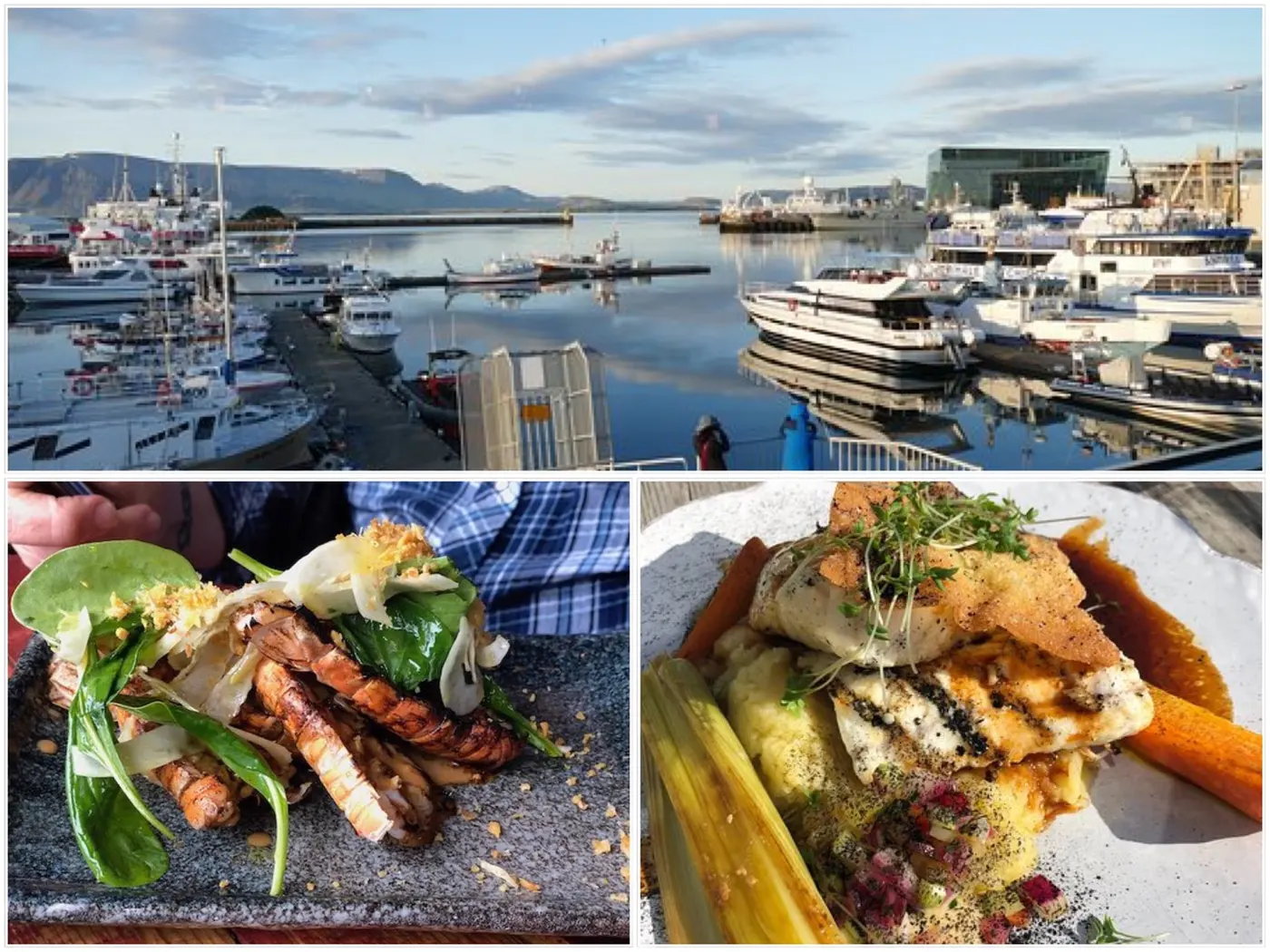 5 ร้านอาหารบรรยากาศสุดอเมซิ่งใน Iceland