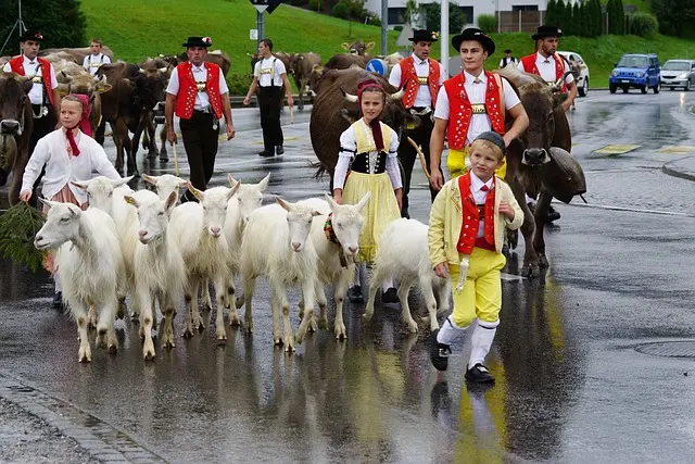 APPENZELL ก็มีเคเบิ้ลขึ้นได้นะ