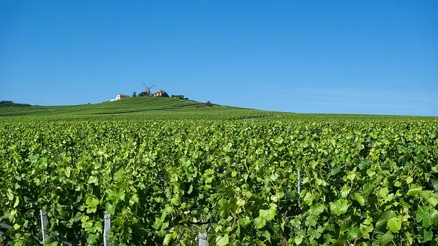 ฝรั่งเศสเหนือ (Normandie - Brittany, France)
