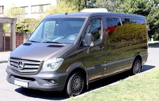 ท่องเที่ยวสวิตเซอร์แลนด์ กับบริการรถตู้พร้อมคนขับ Mercedes-Benz Sprinter 8 ที่นั่ง โดย SEE YOU AGAIN