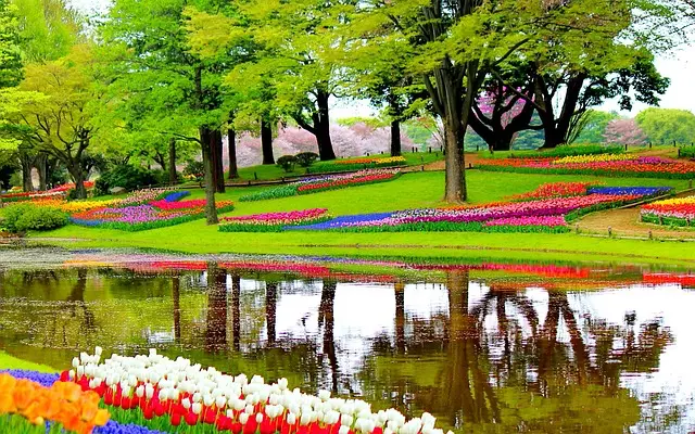 เบลเยี่ยม-เนเธอร์แลนด์ (Romantic Belgium - Netherlands)