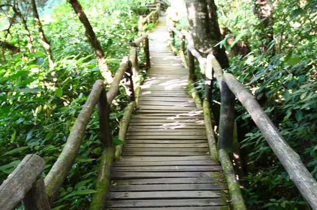 Private 8-Hour Tour of Doi Inthanon National Park including Lunch from Chiang Mai