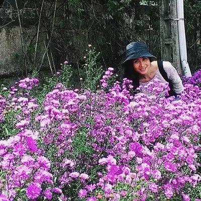 "feebee" The tourist Guide (Speaking English)