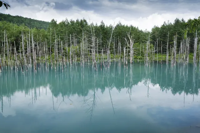 Hokkaido Winter ตะลุยหิมะเมืองฟุระโนะ