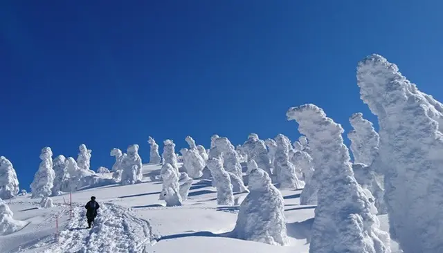 Winter in โตเกียว - อาคิตะ เทศกาลกระท่อมหิมะประจำปี