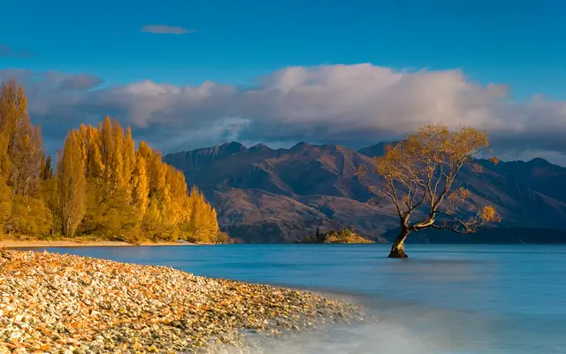 นิวซีแลนด์เกาะใต้ (แผนที่ 1)