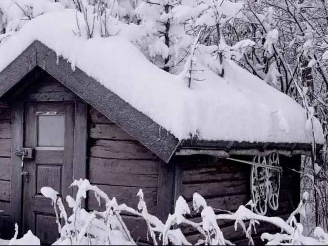 ซาฟารีตามหามูสป่า Wild Moose Safari หุบเขา Målselvdalen