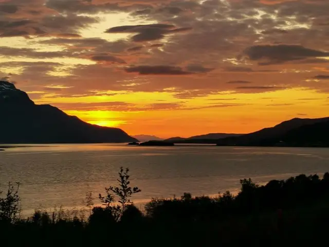 มินิบัสเหมาคันชมฟยอร์ดและสัตว์ป่าหน้าร้อน Minibus Tour: Fjords and Wildlife