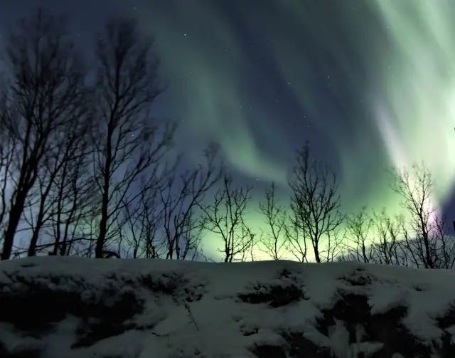 ล่าแสงเหนือด้วยมินิบัส Polar Northern Light Chase by Minibus จากทรอมโซ