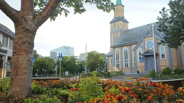 เดินชมเมืองกับผู้ประสานงานชาวซามี Historical City Walking Tour with Sami History