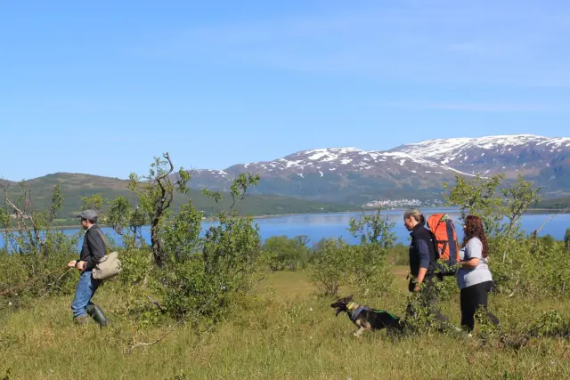 เดินป่ากับฮัสกี้และเยี่ยมลูกสุนัข Husky Hike ใกล้ทรอมโซ ฤดูร้อน