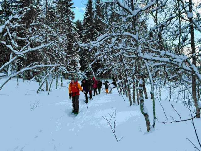 เดินลุยหิมะสั้นๆ ในป่าเกาะทรอมโซ Guided Snowshoe Trip on Tromsøya