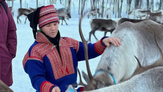 เยี่ยมแคมป์ครอบครัวซามีที่ Lavangsdalen Sami Camp Visit and Reindeer Experience