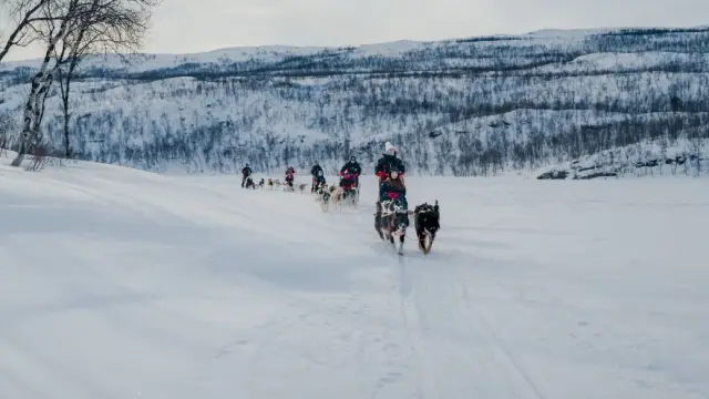 ขับเลื่อนฮัสกี้เอง Dog Sledding หุบเขา Skibotn รอบเช้า จากทรอมโซ