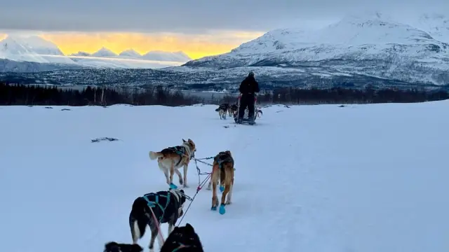 เลื่อนสุนัขเต็มวันริมทะเลสาบ Dog Sledding Day Trip ที่ Jægervatnet