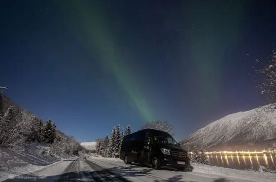 ล่าแสงเหนือกับ Wandering Owl Aurora Hunt ก่อกองไฟ ซุปโฮมเมด จากทรอมโซ