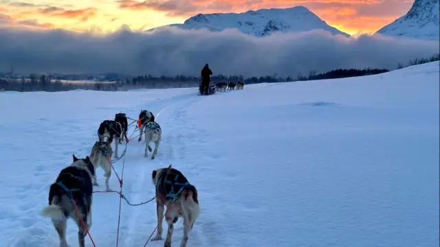 เลื่อนสุนัขเต็มวันริมทะเลสาบ Dog Sledding Day Trip ที่ Jægervatnet