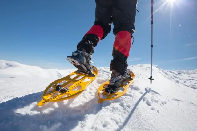 เดินลุยหิมะกับฮัสกี้รอบเช้า Morning Husky Snowshoe Trip ใกล้ทรอมโซ