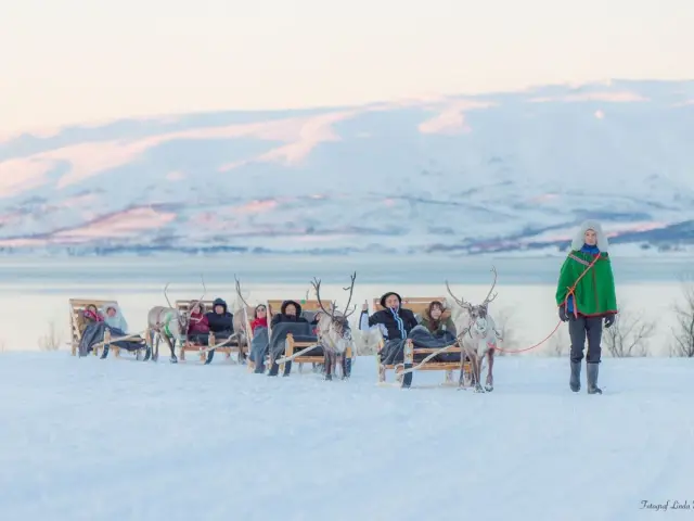 นั่งเลื่อนเรนเดียร์รอบสั้น Reindeer Sledding พร้อมมื้อกลางวันซามี