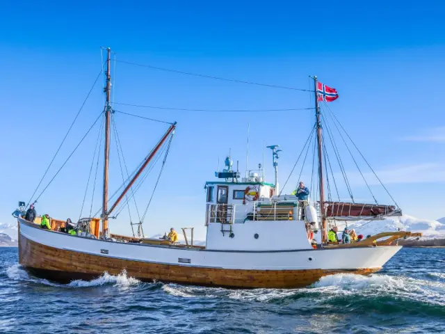 ล่องเรือไม้ Hermes II ชมเมืองทรอมโซ 1 ชั่วโมง Photo & History Cruise