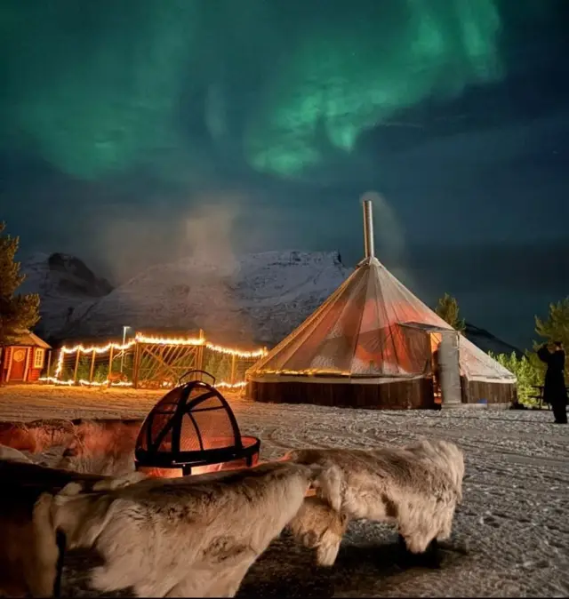 วันเดียวเที่ยว Lyngenfjord เรนเดียร์ ฮัสกี้ และเรื่องเล่าซามี