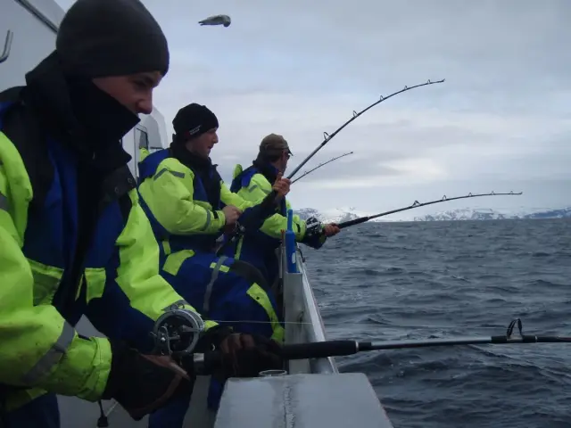 ตกปลาอาร์กติกบนเรือ Havcruise Arctic Fishing Tour by Boat จากทรอมโซ
