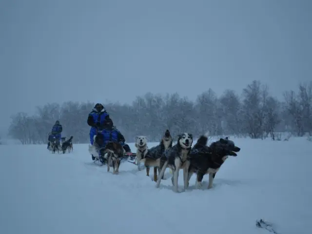 ขับเลื่อนฮัสกี้เอง Dog Sledding หุบเขา Skibotn รอบเช้า จากทรอมโซ