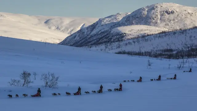 ขับเลื่อนสุนัขฮัสกี้เอง Self-Drive Dog Sledding ใกล้ทรอมโซ