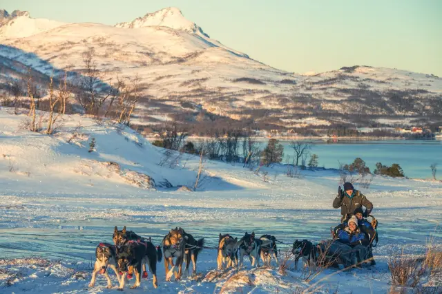 นั่งเลื่อนสุนัขฮัสกี้ Husky Sled Ride มีคนขับ Tromsø Villmarkssenter