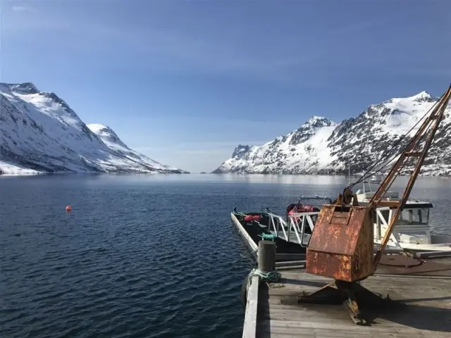 ชมฟยอร์ดเกาะควาลอยยาด้วยรถ Tesla Model X Fjord Sightseeing กลุ่ม 2-5 คน