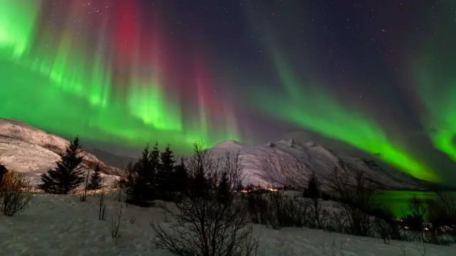 ล่าแสงเหนือรถหลังคากระจก Aurora Quest Minibus Adventure จากทรอมโซ