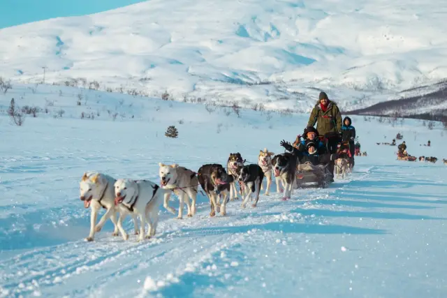 นั่งเลื่อนสุนัขฮัสกี้ Husky Sled Ride มีคนขับ Tromsø Villmarkssenter