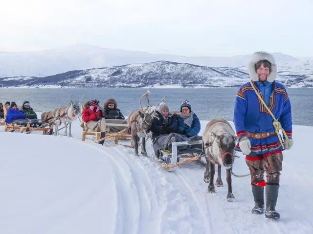 นั่งเลื่อนกวางเรนเดียร์รอบยาว Long Reindeer Sledding and Sámi Culture
