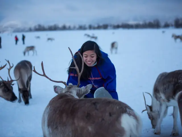 นั่งเลื่อนเรนเดียร์รอบสั้น Reindeer Sledding พร้อมมื้อกลางวันซามี