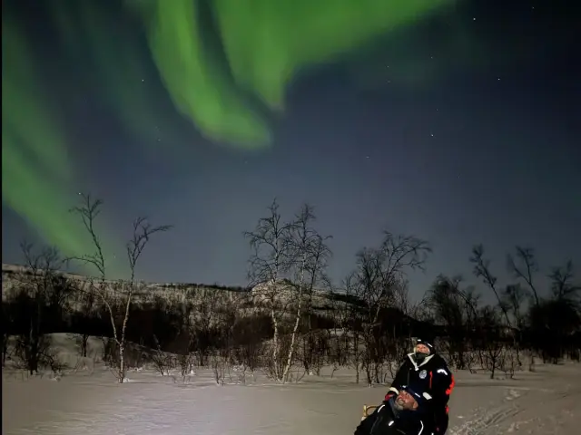 ขับเลื่อนสุนัขรอบบ่าย Dog Sledding in Skibotn Valley - Afternoon จากทรอมโซ