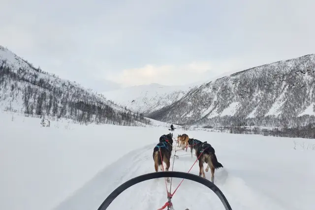นั่งเลื่อนฮัสกี้กลุ่มเล็ก Dog Sledding บนเกาะ Kvaløya