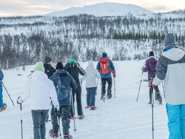 เดินลุยหิมะกับเรนเดียร์ Snowshoeing with Reindeer ป้อนอาหารและอาหารร้อนในกัมเม