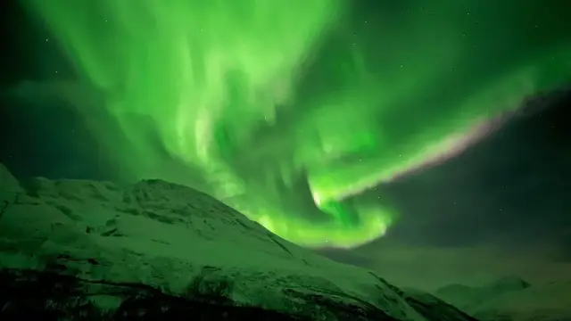 ล่าแสงเหนือด้วยรถมินิบัส Northern Lights Chase by Minibus ทรอมโซ
