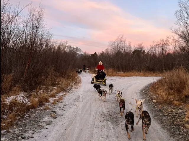 ฮัสกี้ลากรถล้อ Dog Sledding on Wheels หุบเขา Skibotn ช่วงก่อนหิมะ
