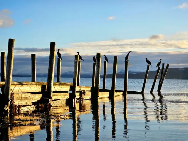 เที่ยว Sommarøy และ Kvaløya กลุ่มเล็ก ชมฟยอร์ด หาดขาว พร้อมมื้อกลางวัน
