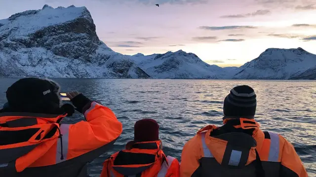 ล่องเรือส่วนตัวชมสัตว์ป่าและฟยอร์ดรอบเกาะควาลอยยา Wildlife Fjord Cruise Private