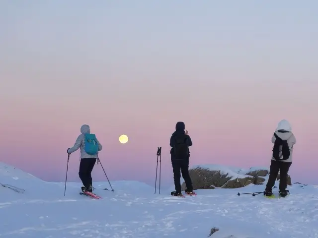 เดินลุยหิมะด้วยสโนว์ชู Snowshoe Hike ทรอมโซ รอบเช้าหรือค่ำ