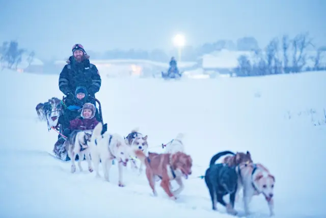 นั่งเลื่อนสุนัขฮัสกี้ Husky Sled Ride มีคนขับ Tromsø Villmarkssenter
