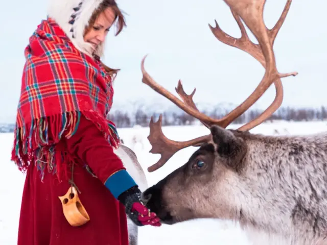 นั่งเลื่อนกวางเรนเดียร์รอบยาว Long Reindeer Sledding and Sámi Culture