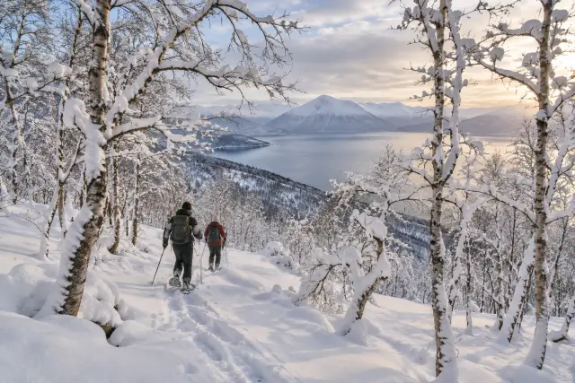 หัดเล่นสกีทางเรียบแบบชาวนอร์เวย์ที่ทรอมโซ Learn to ski like a Norwegian