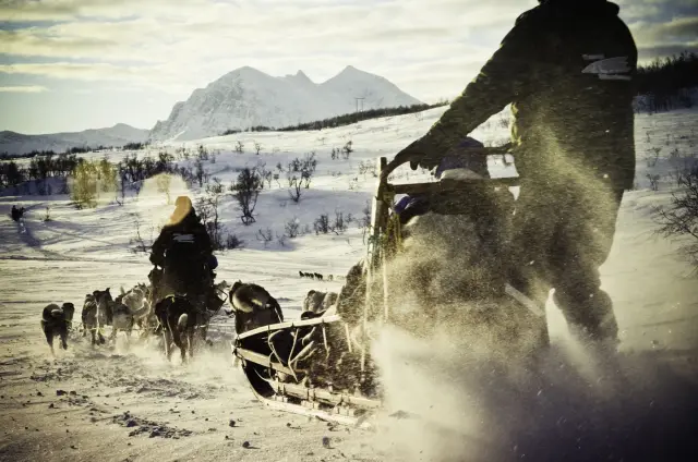 นั่งเลื่อนสุนัขฮัสกี้ Husky Sled Ride มีคนขับ Tromsø Villmarkssenter
