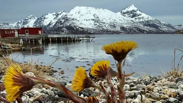 ทริปถ่ายภาพฟยอร์ดและสัตว์ป่ากับช่างภาพ Marianne Scenic Fjord and Photography