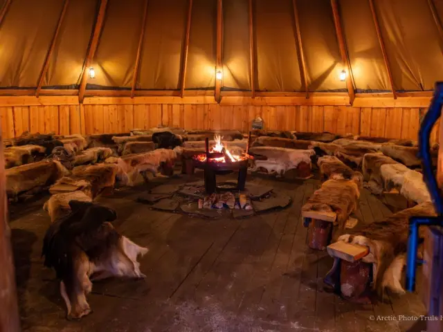 ป้อนอาหารเรนเดียร์ฝูง 300 ตัวและวัฒนธรรมซามี Reindeer Feeding ทรอมโซ